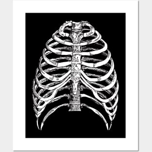 Rib Cage Posters and Art